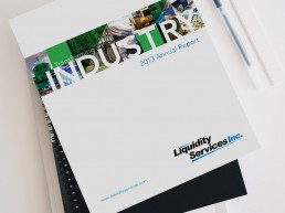 2013-annual-report-cover