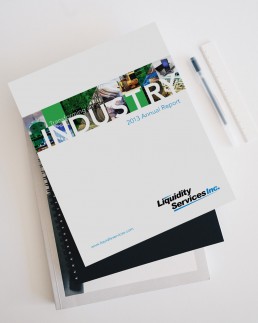 2013-annual-report-cover