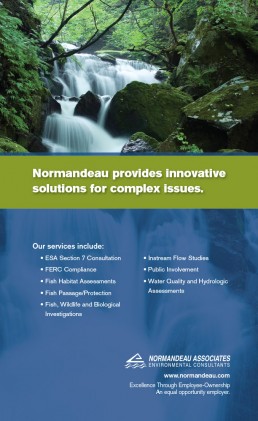 normandeau-ad-innovative-solutions