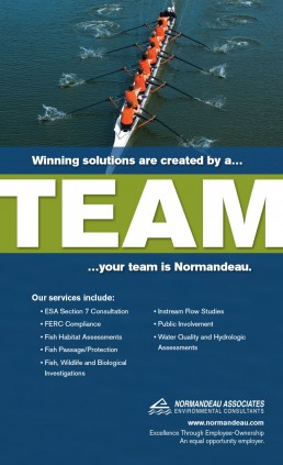 normandeau-ad-teamwork